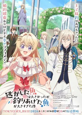 逆位魔法少女动画海报